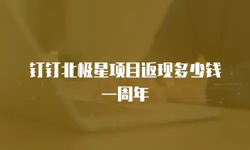 钉钉北极星项目返现多少钱一周年