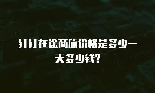 钉钉在途商旅价格是多少一天多少钱？