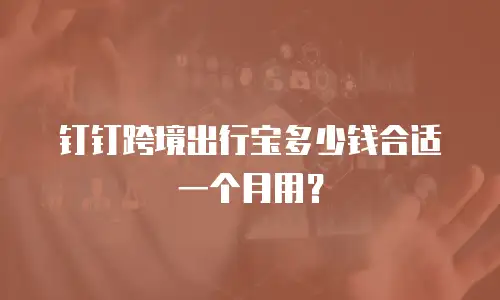 钉钉跨境出行宝多少钱合适一个月用？