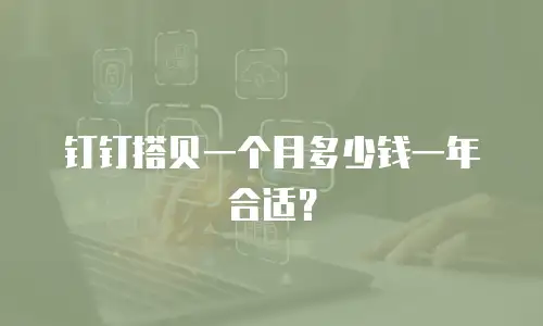钉钉搭贝一个月多少钱一年合适？