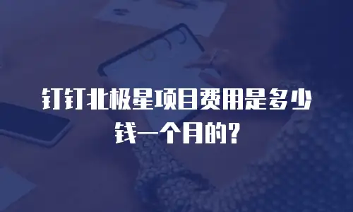 钉钉北极星项目费用是多少钱一个月的？