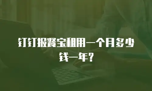 钉钉报餐宝租用一个月多少钱一年？
