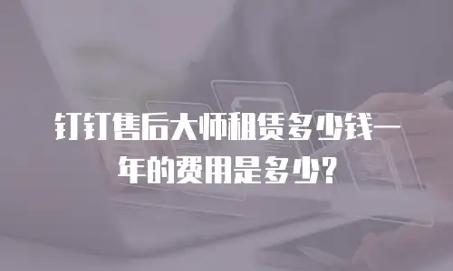 钉钉售后大师租赁多少钱一年的费用是多少？