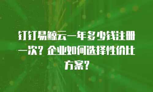 钉钉易鲸云一年多少钱注册一次？企业如何选择性价比方案？