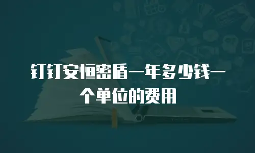 钉钉安恒密盾一年多少钱一个单位的费用