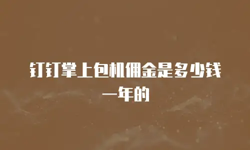 钉钉掌上包机佣金是多少钱一年的