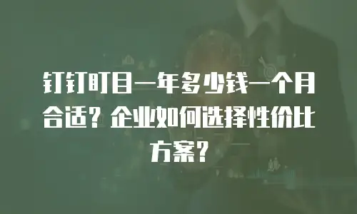 钉钉盯目一年多少钱一个月合适？企业如何选择性价比方案？