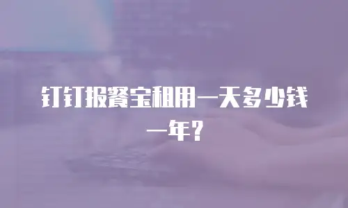 钉钉报餐宝租用一天多少钱一年？