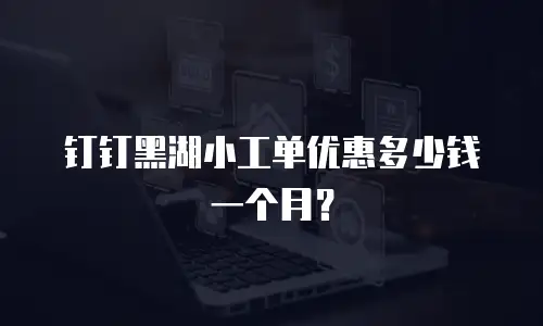 钉钉黑湖小工单优惠多少钱一个月？