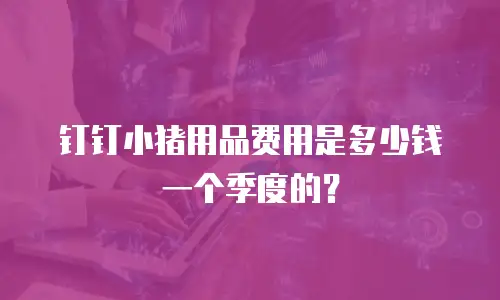 钉钉小猪用品费用是多少钱一个季度的？