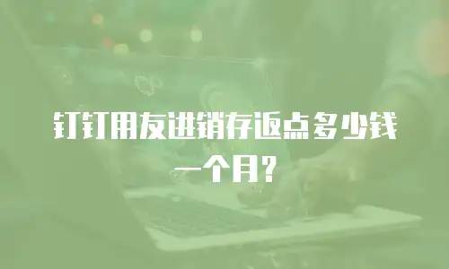 钉钉用友进销存返点多少钱一个月？