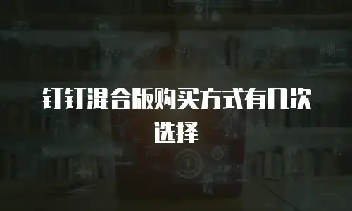 钉钉混合版购买方式有几次选择