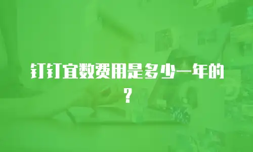 钉钉宜数费用是多少一年的？