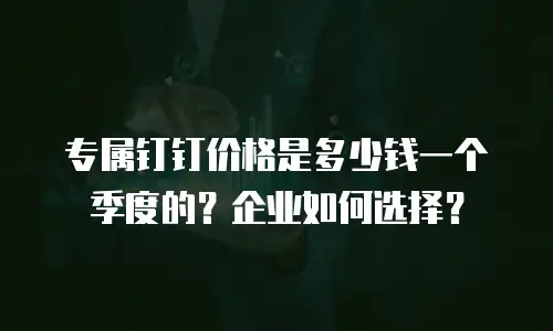 专属钉钉价格是多少钱一个季度的？企业如何选择？
