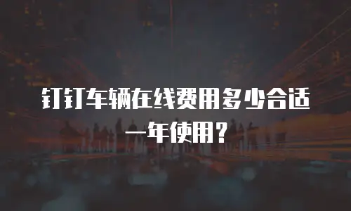 钉钉车辆在线费用多少合适一年使用？