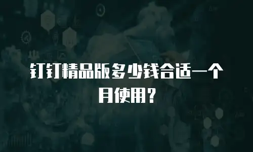 钉钉精品版多少钱合适一个月使用？