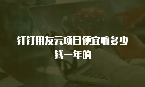 钉钉用友云项目便宜嘛多少钱一年的