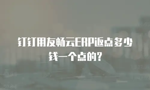 钉钉用友畅云ERP返点多少钱一个点的？
