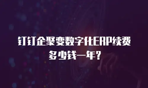 钉钉企聚变数字化ERP续费多少钱一年？