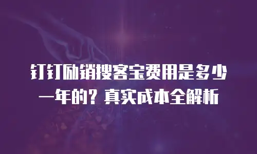 钉钉励销搜客宝费用是多少一年的？真实成本全解析