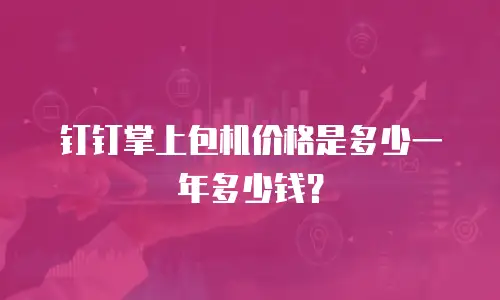 钉钉掌上包机价格是多少一年多少钱？