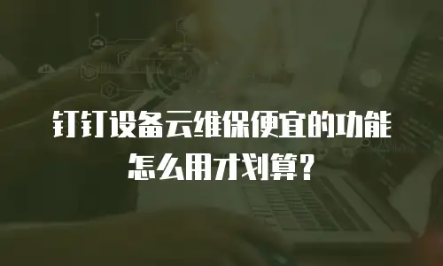 钉钉设备云维保便宜的功能怎么用才划算？