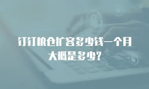 钉钉粮仓扩容多少钱一个月大概是多少？