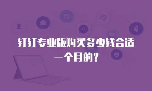 钉钉专业版购买多少钱合适一个月的？