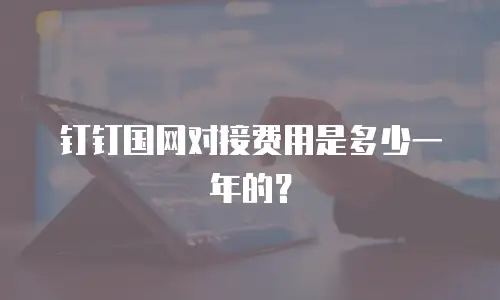 钉钉国网对接费用是多少一年的？