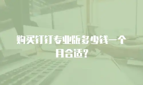 购买钉钉专业版多少钱一个月合适？