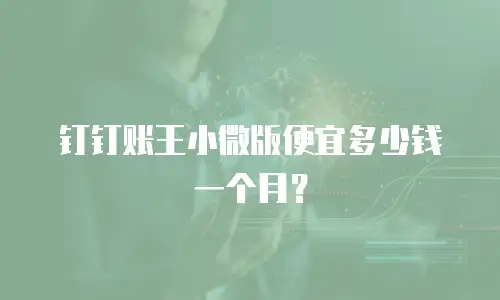 钉钉账王小微版便宜多少钱一个月？