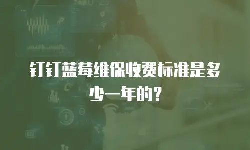 钉钉蓝莓维保收费标准是多少一年的？