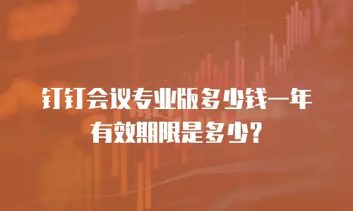 钉钉会议专业版多少钱一年有效期限是多少？