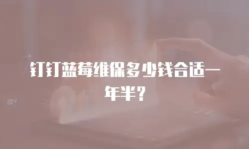 钉钉蓝莓维保多少钱合适一年半？