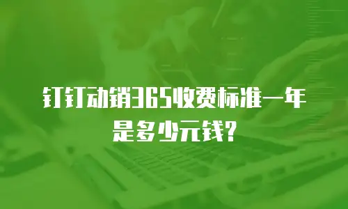 钉钉动销365收费标准一年是多少元钱？