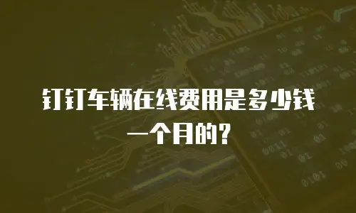 钉钉车辆在线费用是多少钱一个月的？