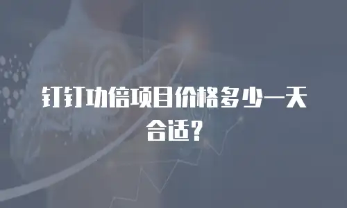 钉钉功倍项目价格多少一天合适？