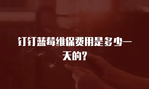 钉钉蓝莓维保费用是多少一天的？