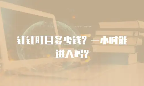 钉钉盯目多少钱？一小时能进入吗？