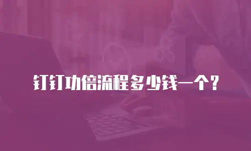 钉钉功倍流程多少钱一个？