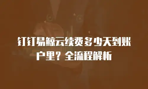 钉钉易鲸云续费多少天到账户里？全流程解析