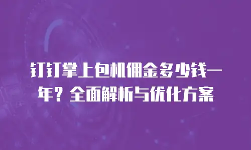 钉钉掌上包机佣金多少钱一年？全面解析与优化方案