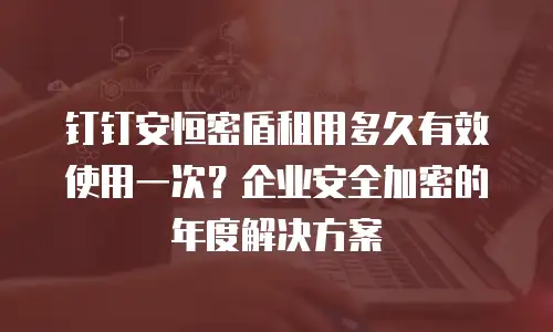 钉钉安恒密盾租用多久有效使用一次？企业安全加密的年度解决方案