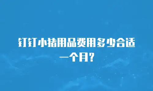 钉钉小猪用品费用多少合适一个月？