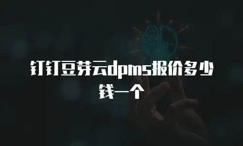钉钉豆芽云dpms报价多少钱一个