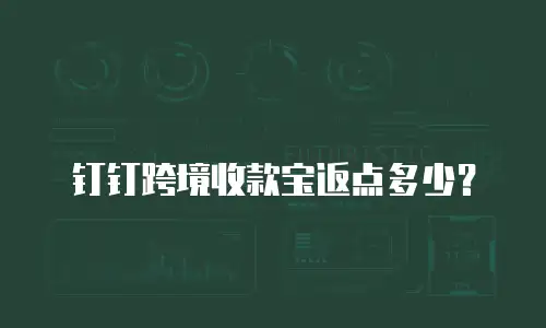 钉钉跨境收款宝返点多少？
