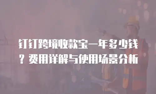 钉钉跨境收款宝一年多少钱？费用详解与使用场景分析