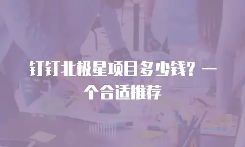 钉钉北极星项目多少钱？一个合适推荐