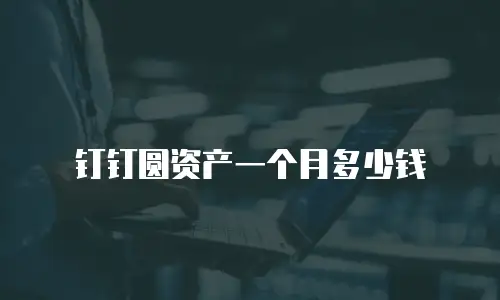 钉钉圆资产一个月多少钱