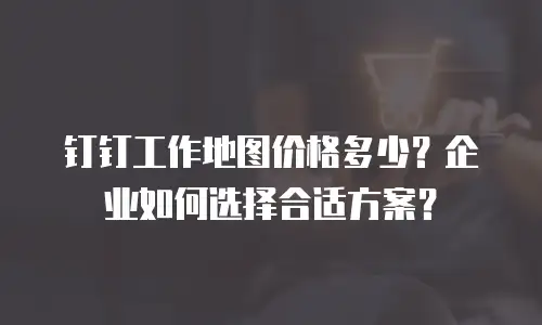 钉钉工作地图价格多少？企业如何选择合适方案？